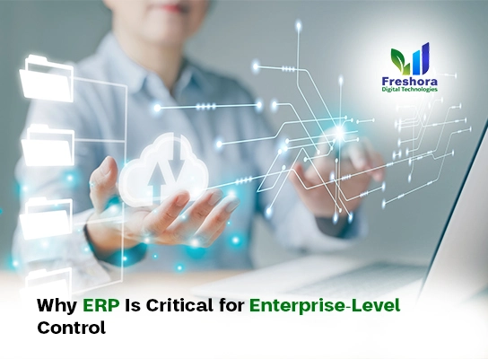 Why ERP Software Is Critical for Enterprise-Level Business Control
