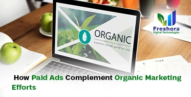 Paid Ads Complement