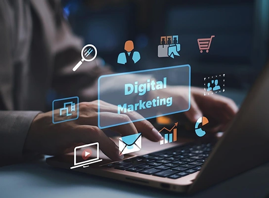 Digital Marketing Support for Business