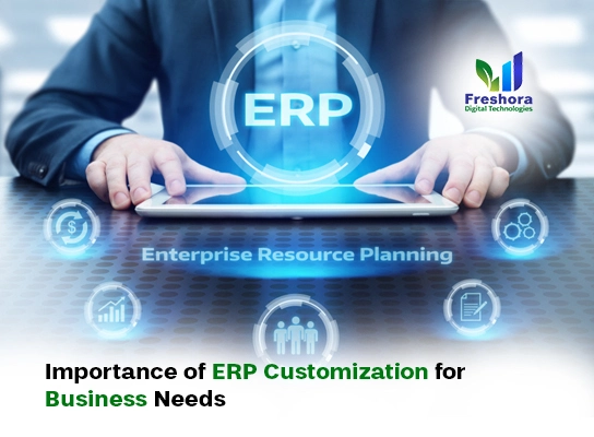 of ERP Customization