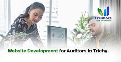Website Development for Auditors